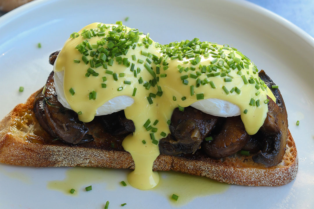 Mushroom Benedict